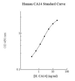 Novus Biologicals&trade;&nbsp;Human Carbonic Anhydrase XIV/CA14 ELISA Kit (Colorimetric)